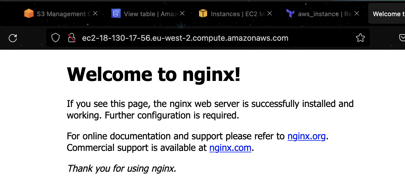 Example showing nginx screen