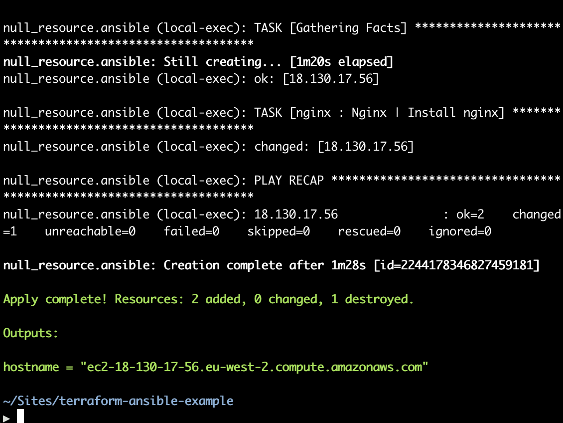 Example showing completed execution in the terminal